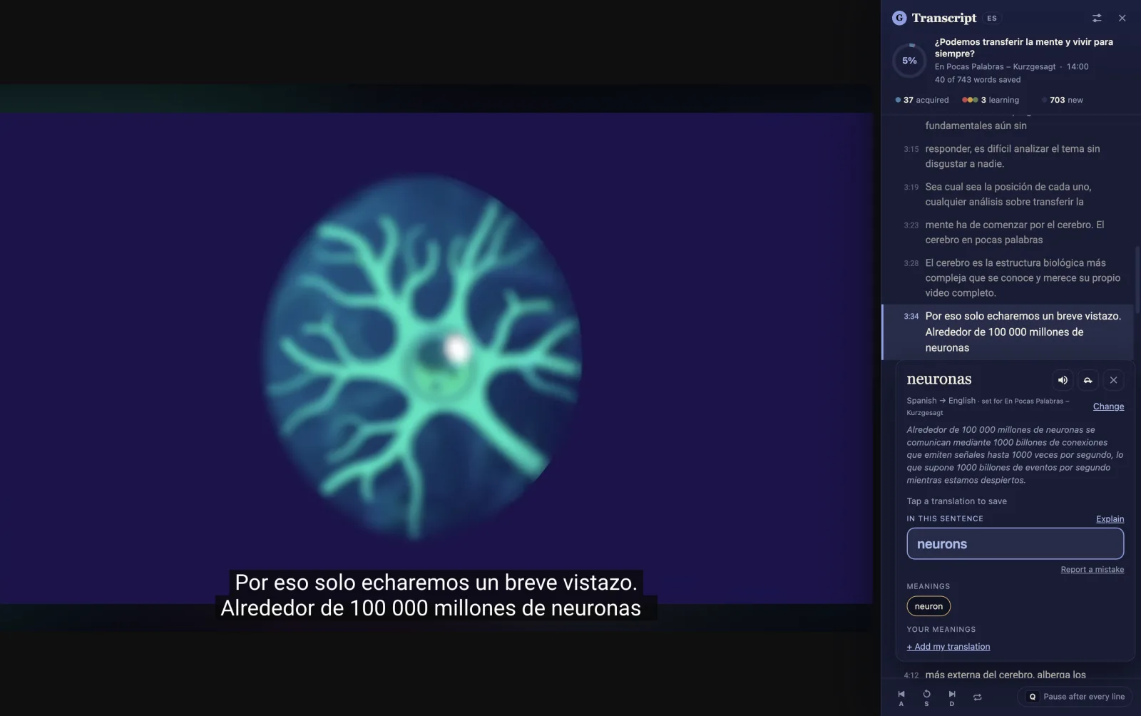 Screenshot of Glossy: Full-screen YouTube, with the transcript beside it